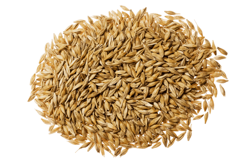 Animal feed & pet food Drying Solutions