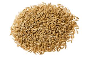 Animal feed & pet food Drying Solutions