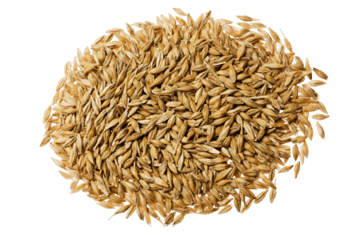 Animal feed & pet food Drying Solutions