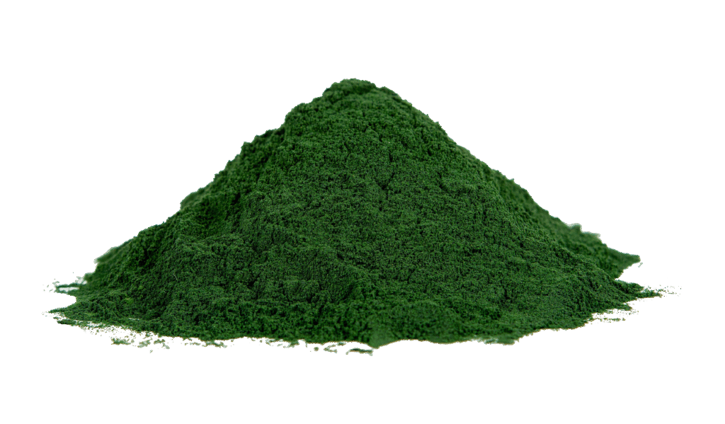 Algae & Seaweed Drying Solutions