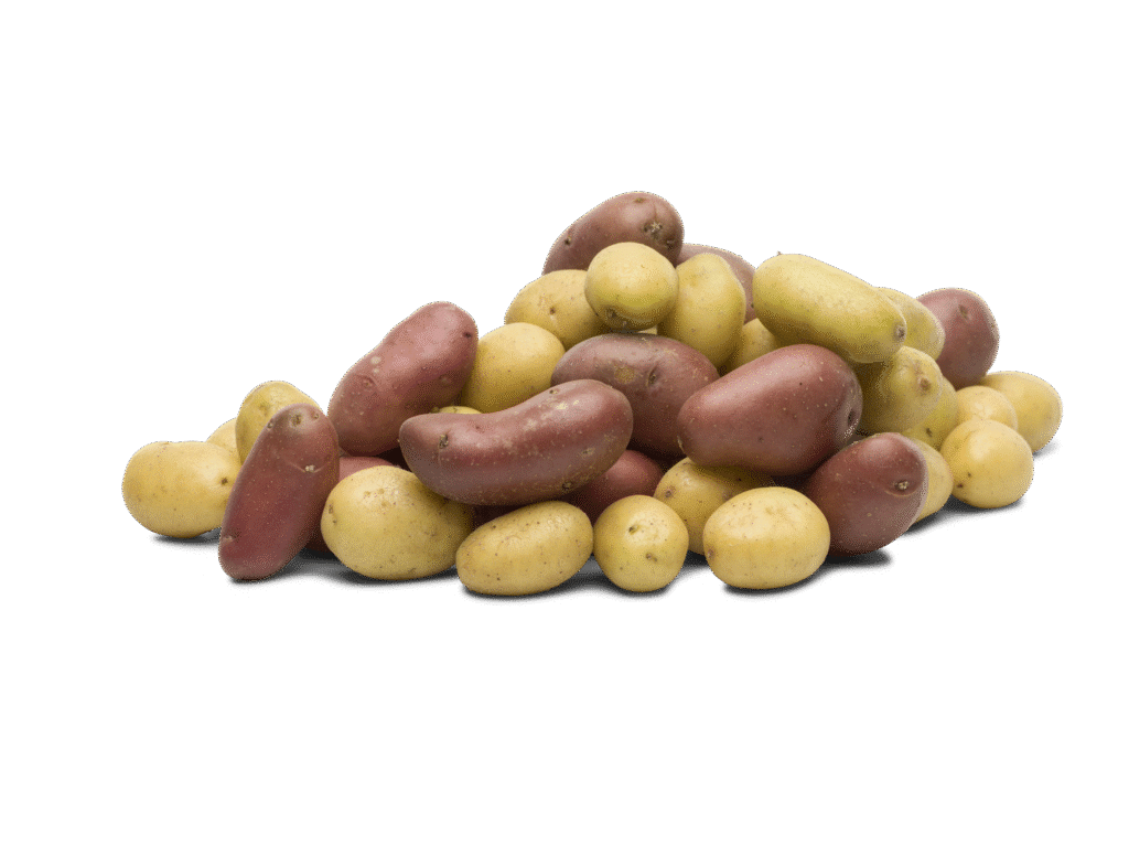 Fruits & Vegetable Drying Solutions